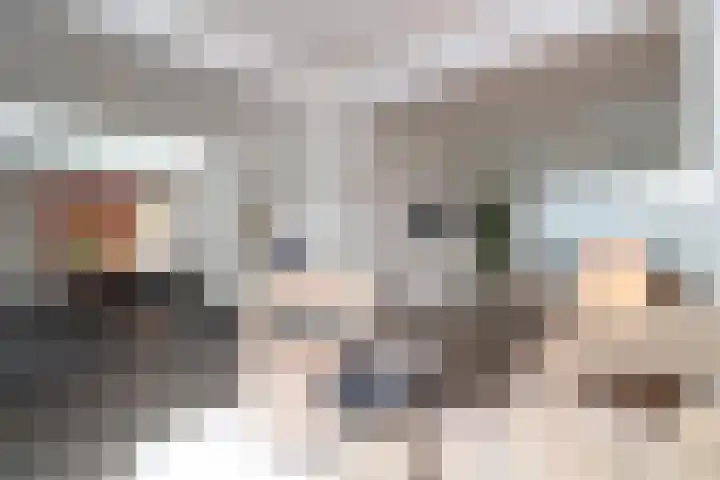 Peymeestersdreef 31 Maastricht thumbnail 4