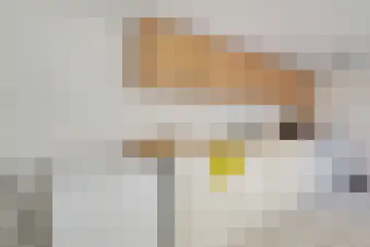 Peyserhof 35 Emmen thumbnail 23