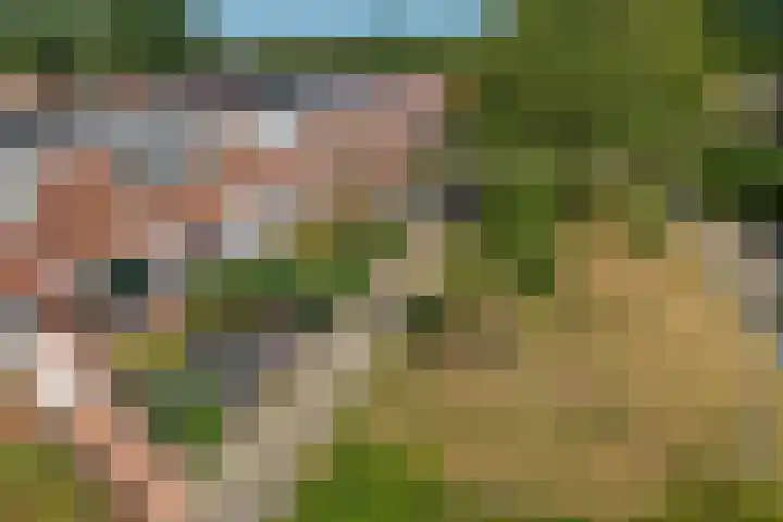 Peyserhof 35 Emmen thumbnail 36