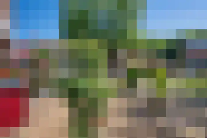 Peyserhof 35 Emmen thumbnail 38