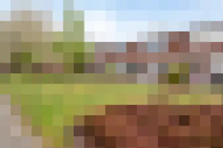 Peyserhof 39 Emmen thumbnail 17