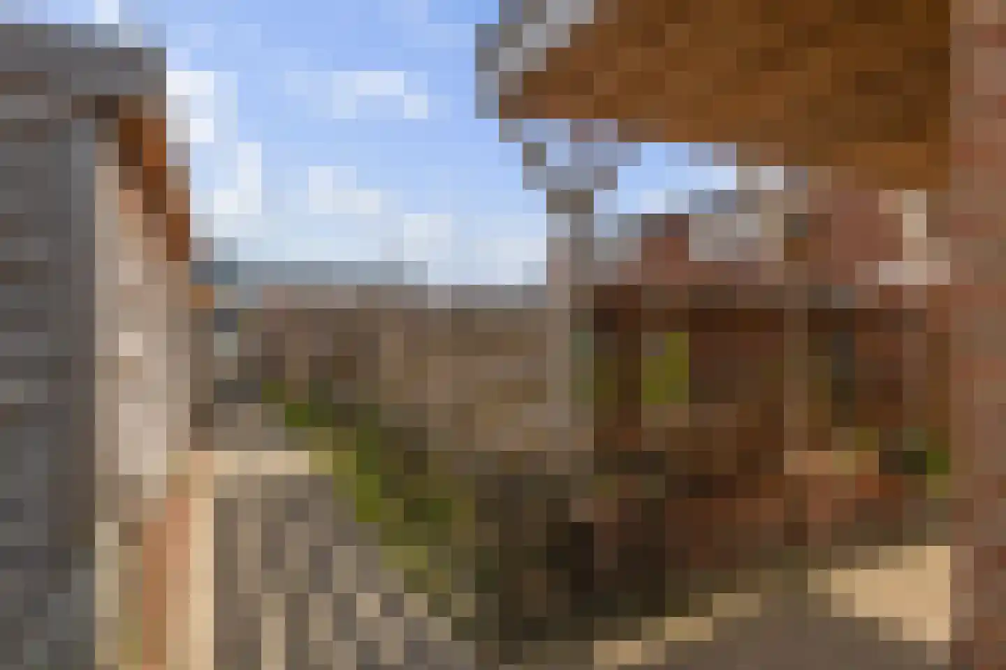 Peyserhof 43 Emmen thumbnail 41
