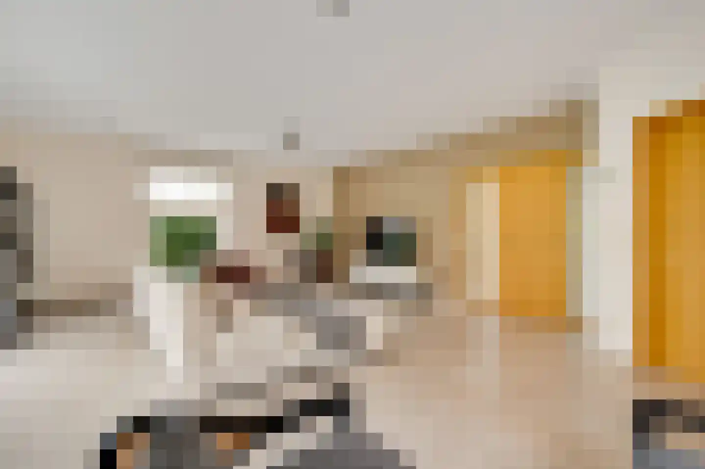 Peysstraat 87 Melick thumbnail 22