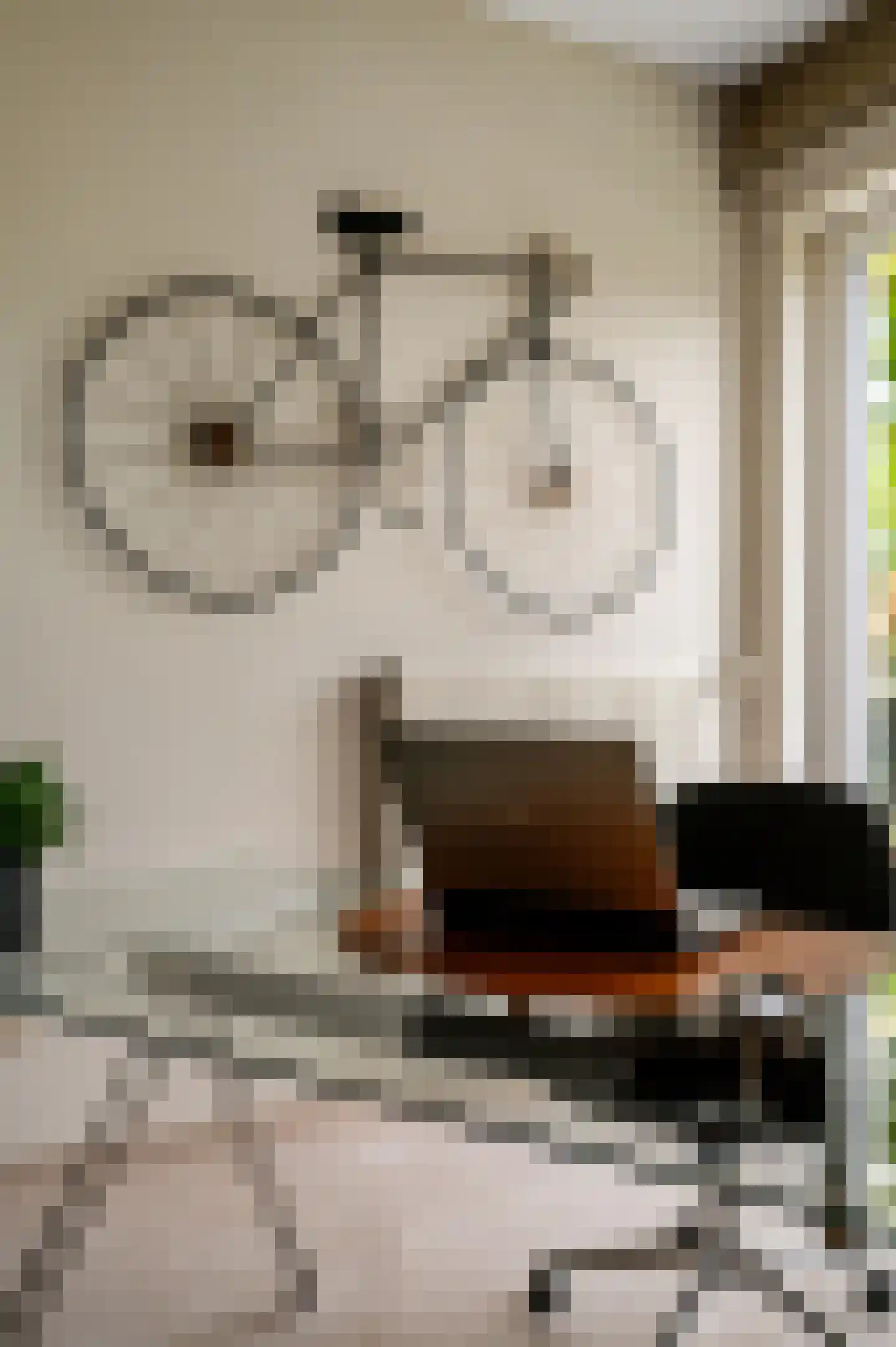 Peysstraat 87 Melick thumbnail 34
