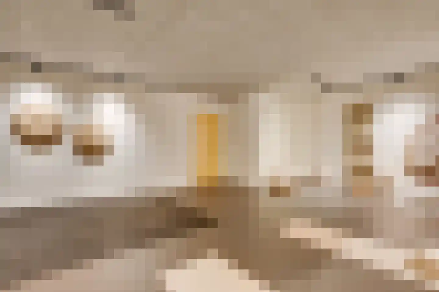 Peysstraat 87 Melick thumbnail 47
