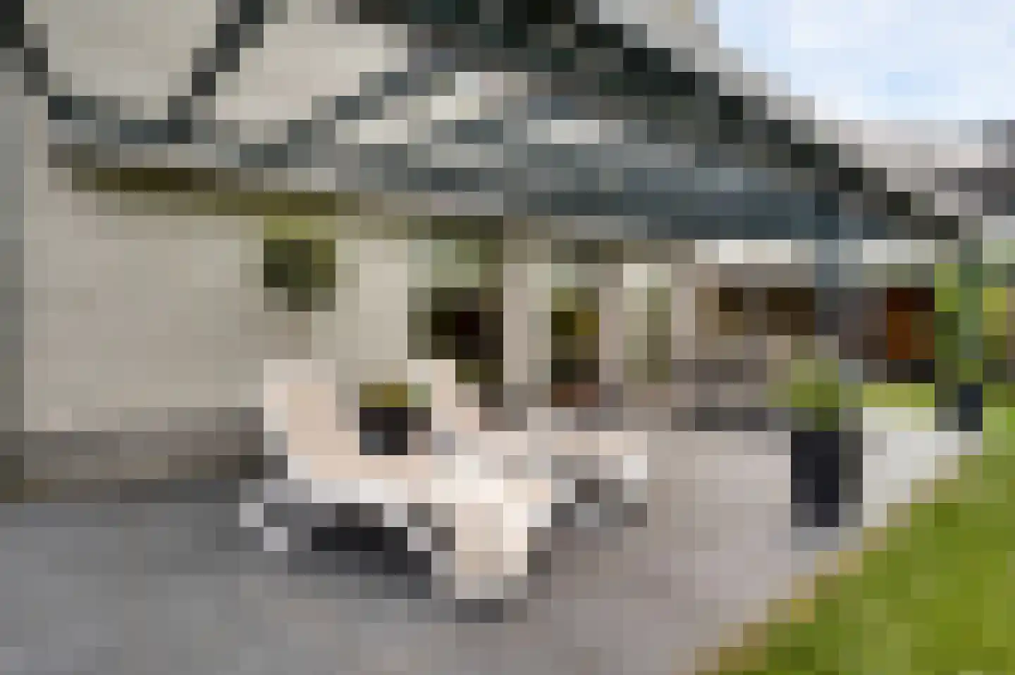 Peysstraat 87 Melick thumbnail 59