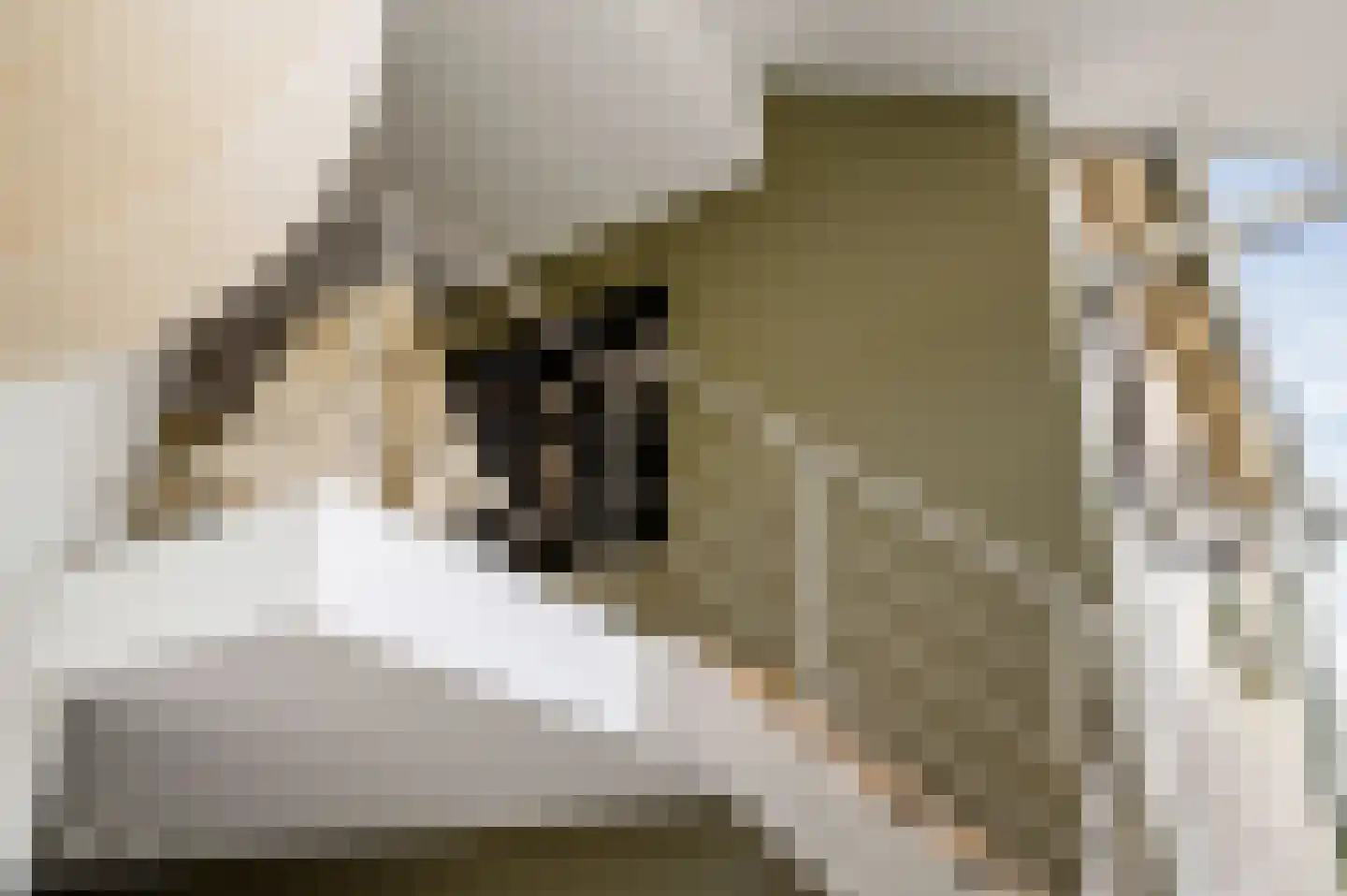 Peysstraat 87 Melick thumbnail 71