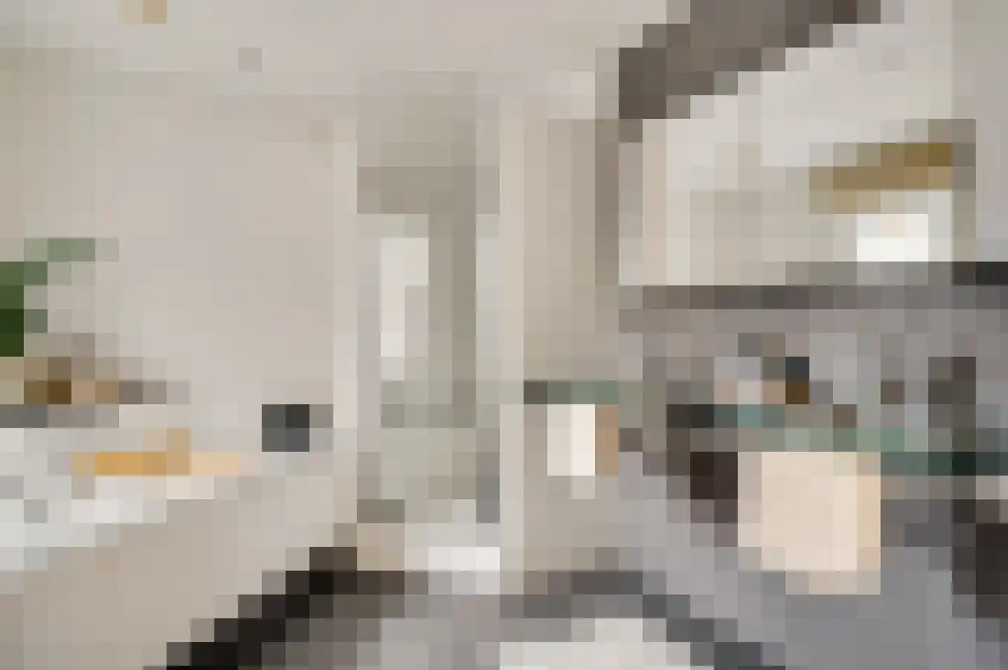Peysstraat 87 Melick thumbnail 79