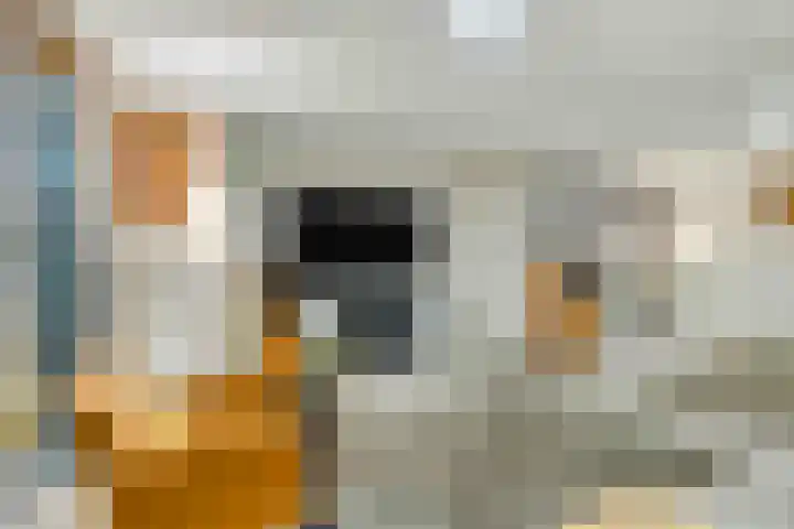Peysstraat 93 Melick thumbnail 38