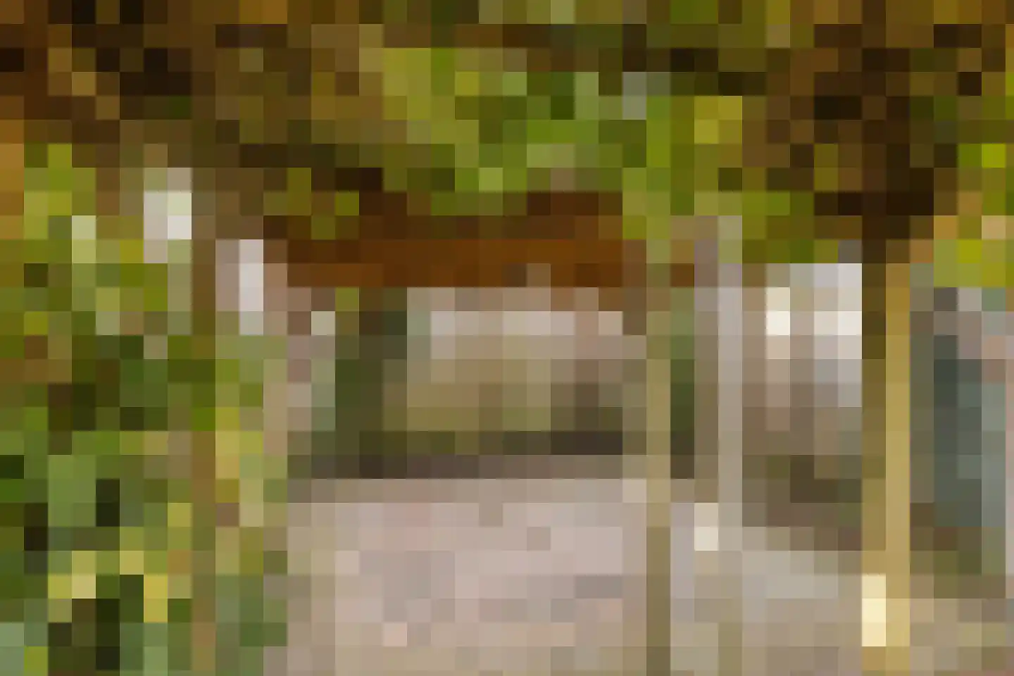 Phaffstraat 13 Aarle-Rixtel thumbnail 36