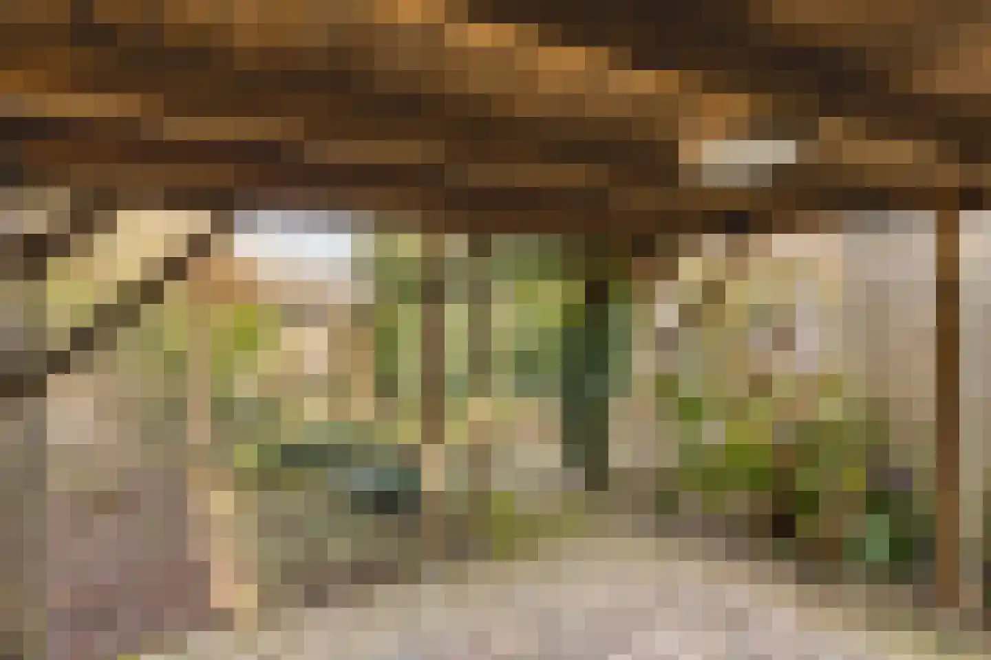 Phaffstraat 13 Aarle-Rixtel thumbnail 37