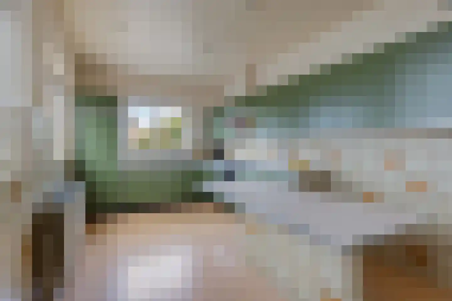 Phaffstraat 13 Aarle-Rixtel thumbnail 4