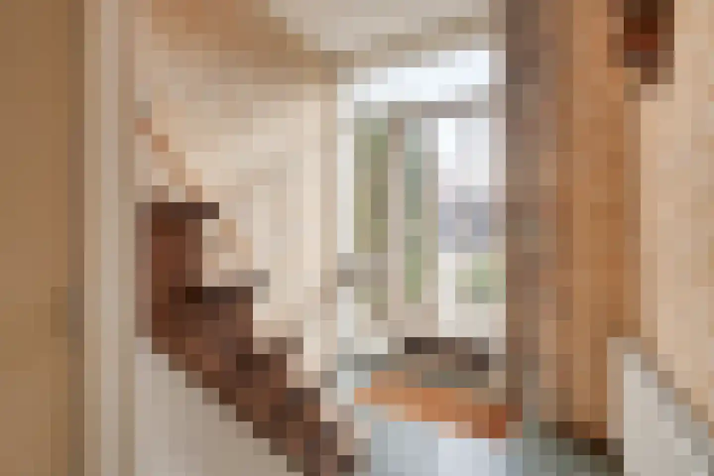 Phaffstraat 13 Aarle-Rixtel thumbnail 8