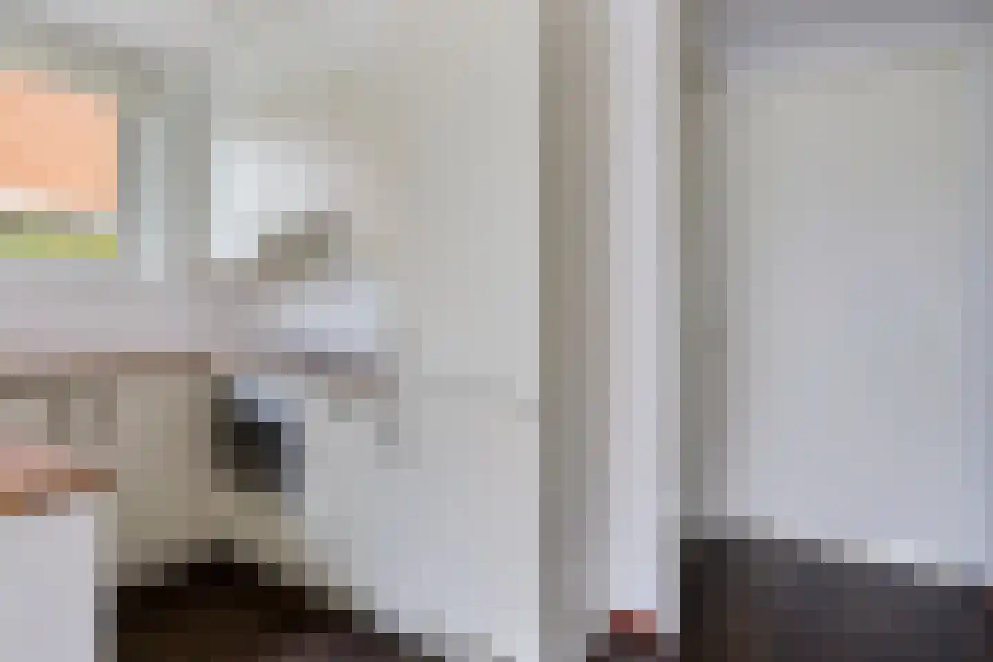 Pharshoeke 14 Heeg thumbnail 10