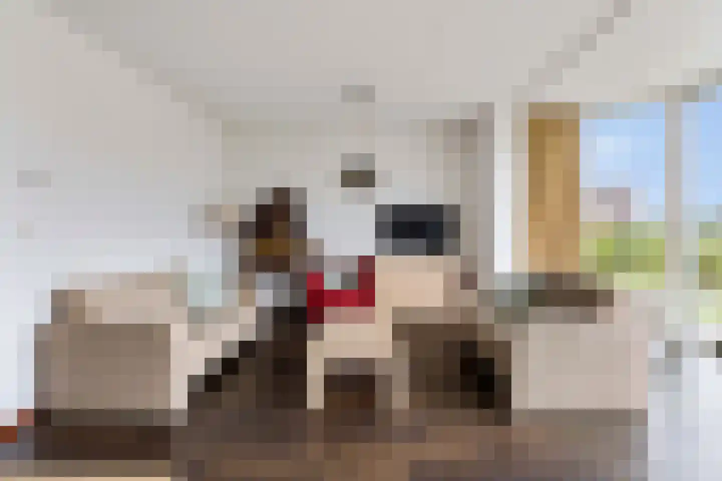 Pharshoeke 14 Heeg thumbnail 11