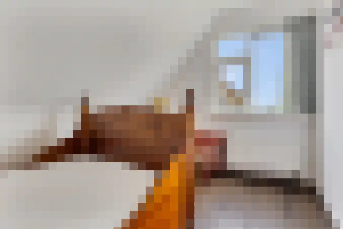 Pharshoeke 14 Heeg thumbnail 23