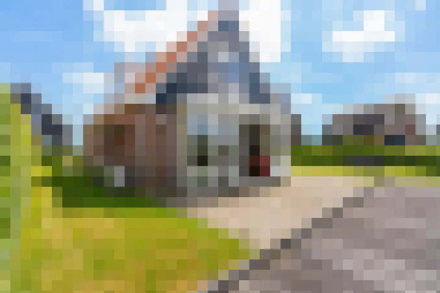 Pharshoeke 14 Heeg thumbnail 43