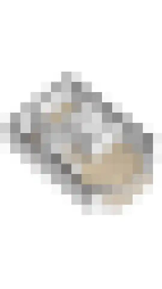 Pharshoeke 14 Heeg thumbnail 62