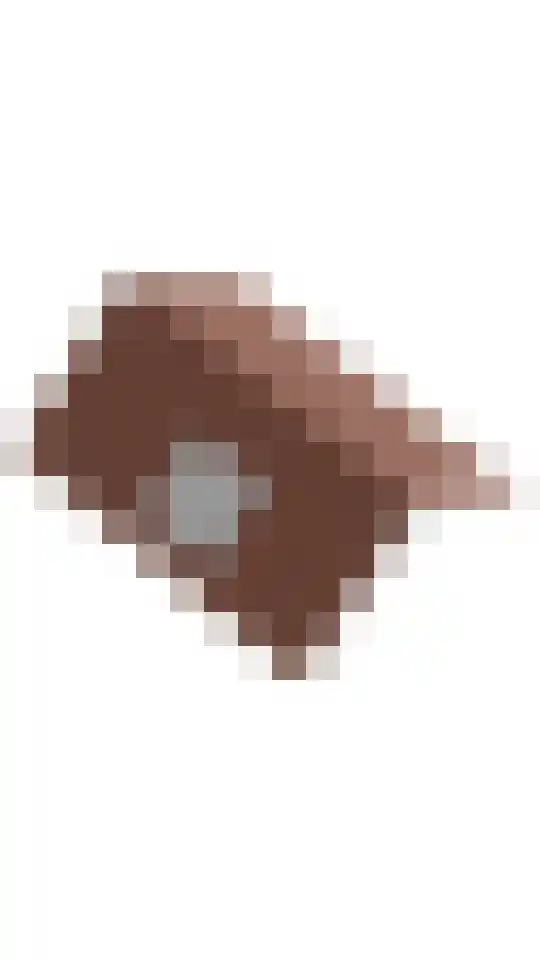 Pharshoeke 14 Heeg thumbnail 64