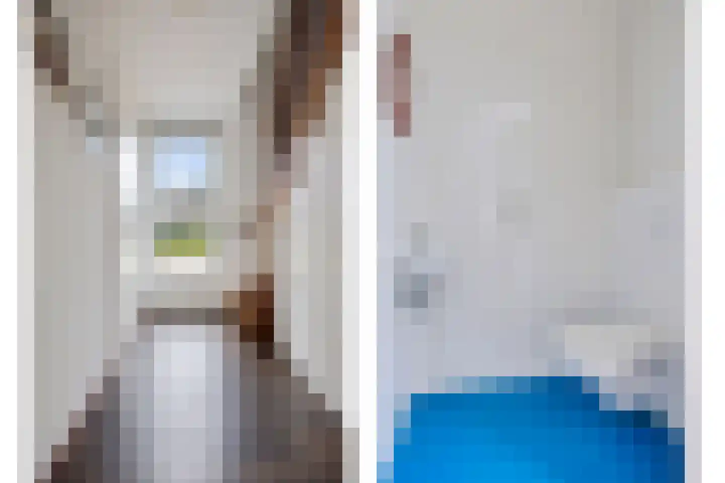 Pharshoeke 14 Heeg thumbnail 8