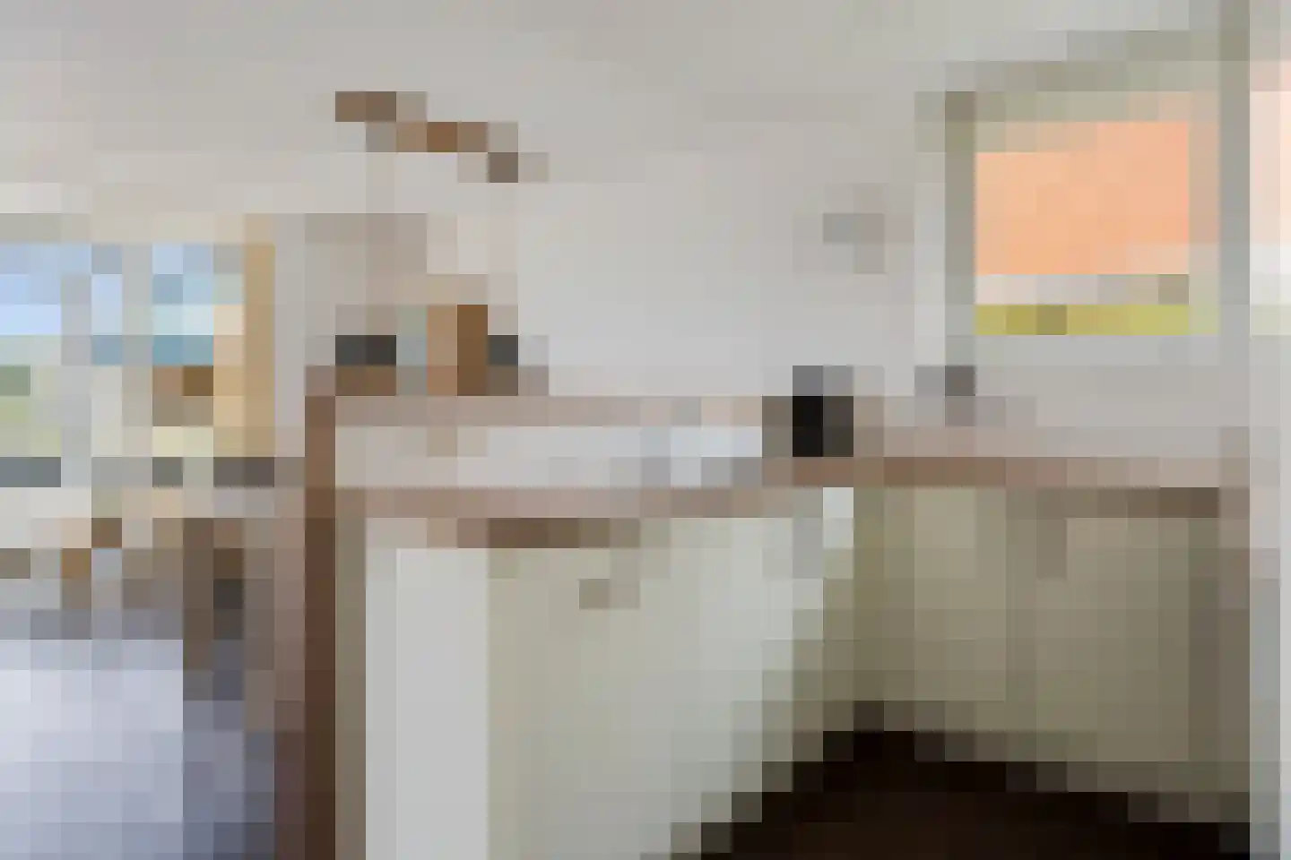Pharshoeke 14 Heeg thumbnail 9