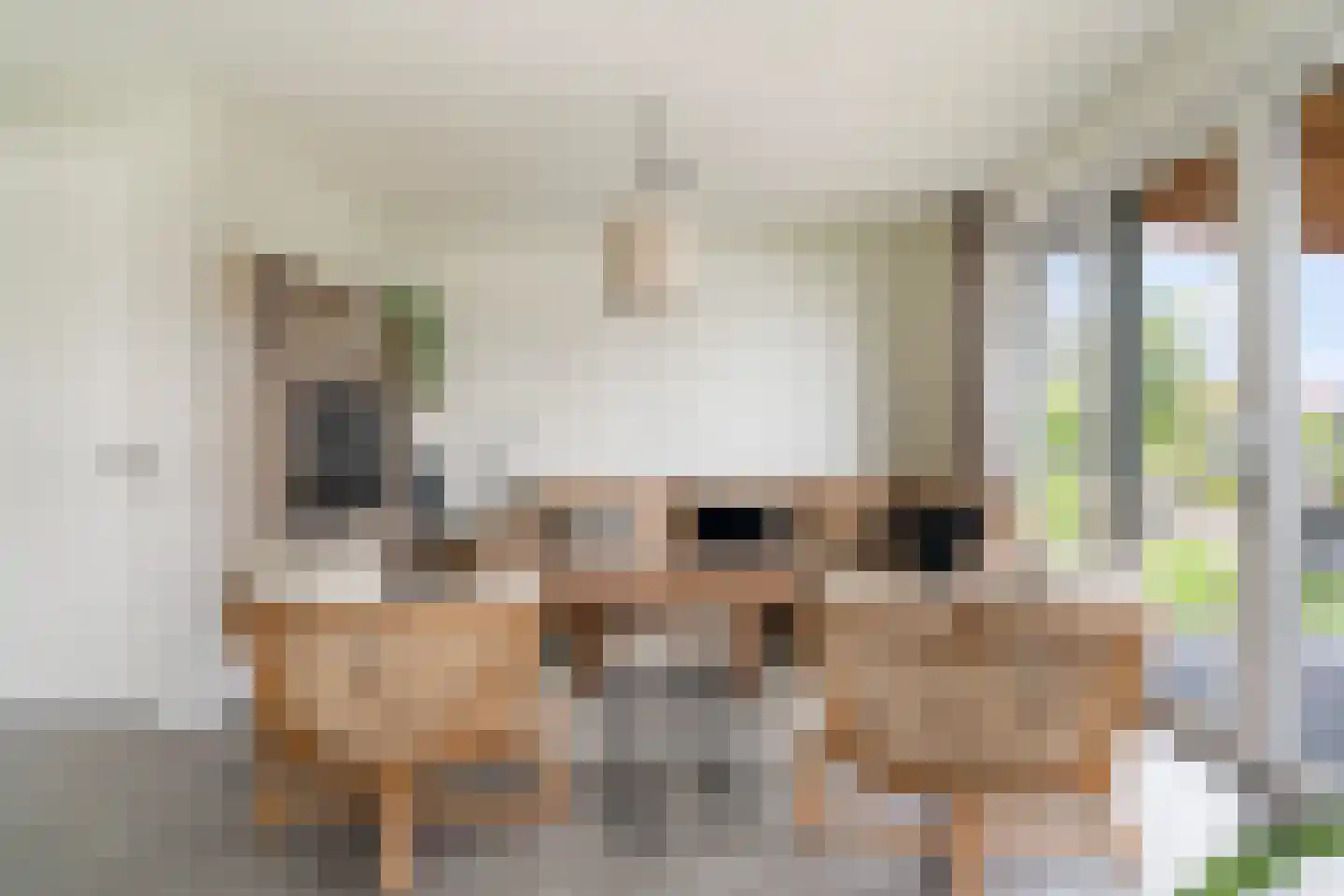 Pharshoeke 33 Heeg thumbnail 10