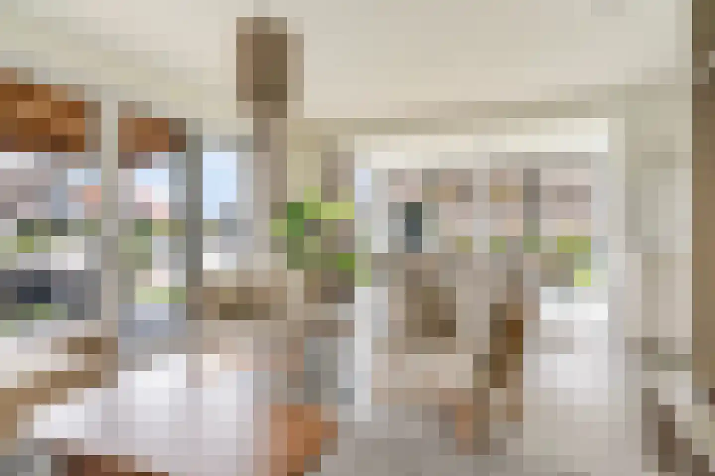 Pharshoeke 33 Heeg thumbnail 11