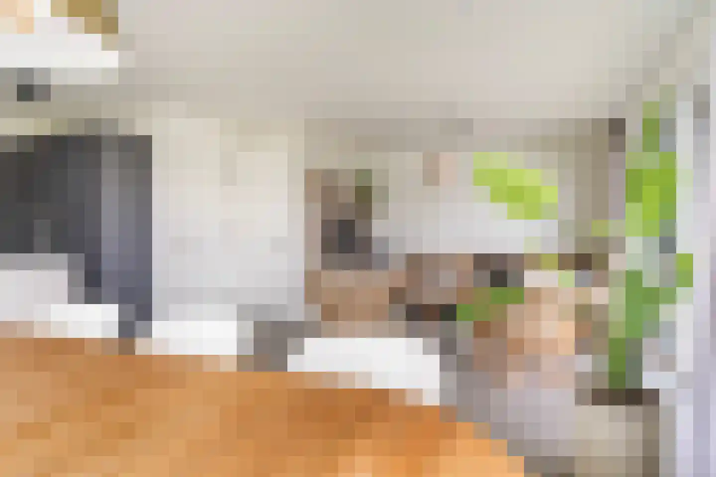 Pharshoeke 33 Heeg thumbnail 14