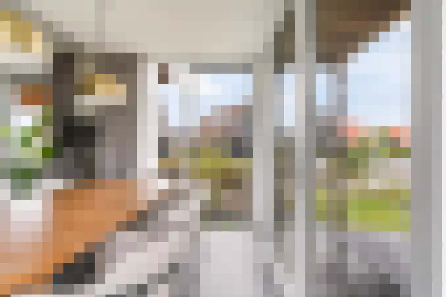 Pharshoeke 33 Heeg thumbnail 17