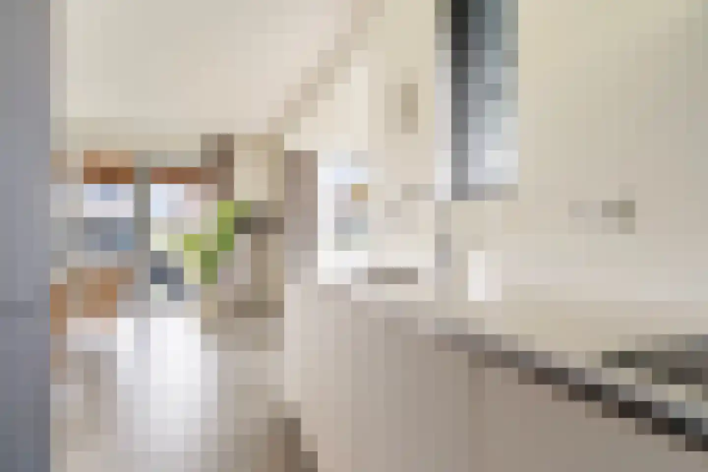 Pharshoeke 33 Heeg thumbnail 19