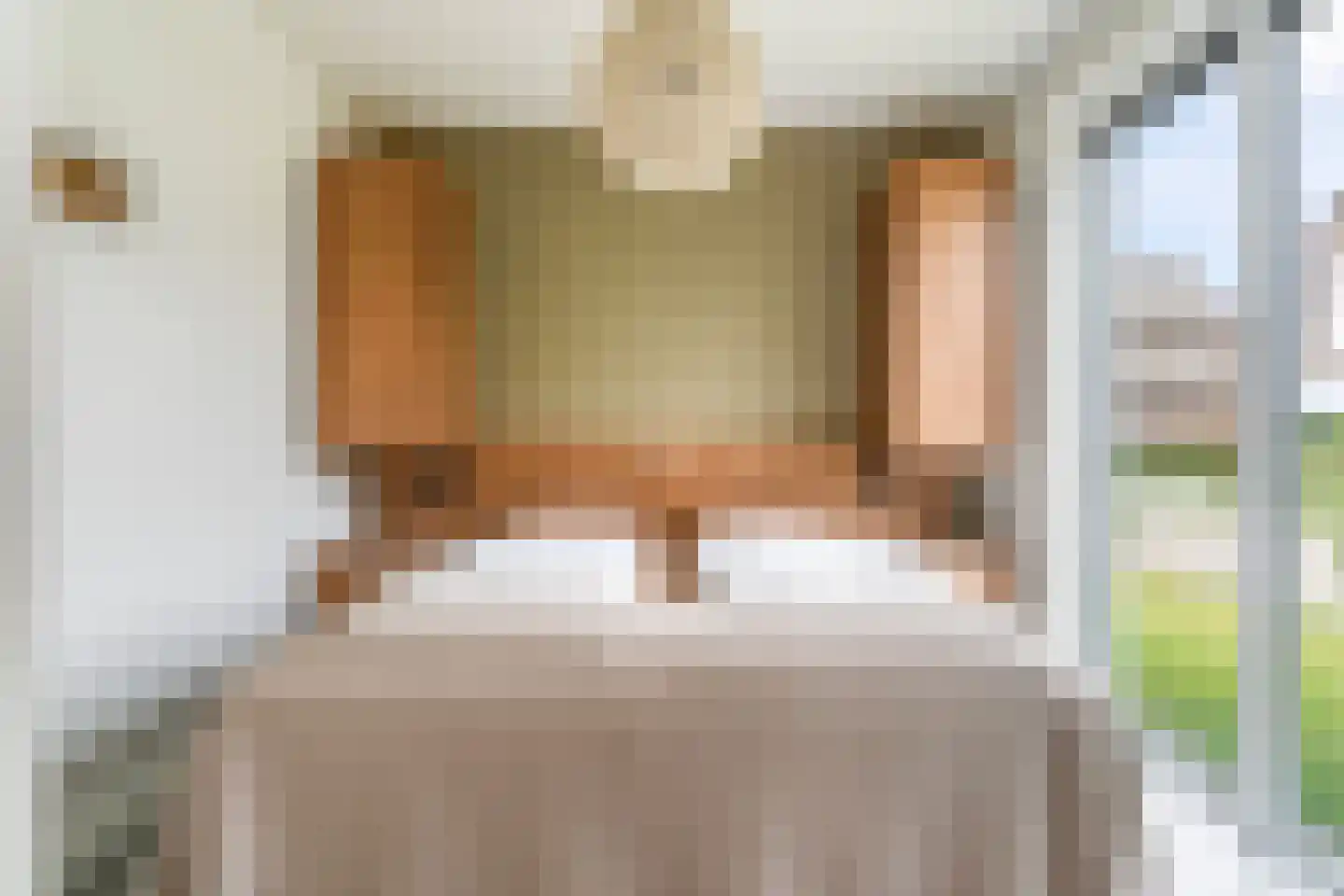 Pharshoeke 33 Heeg thumbnail 25