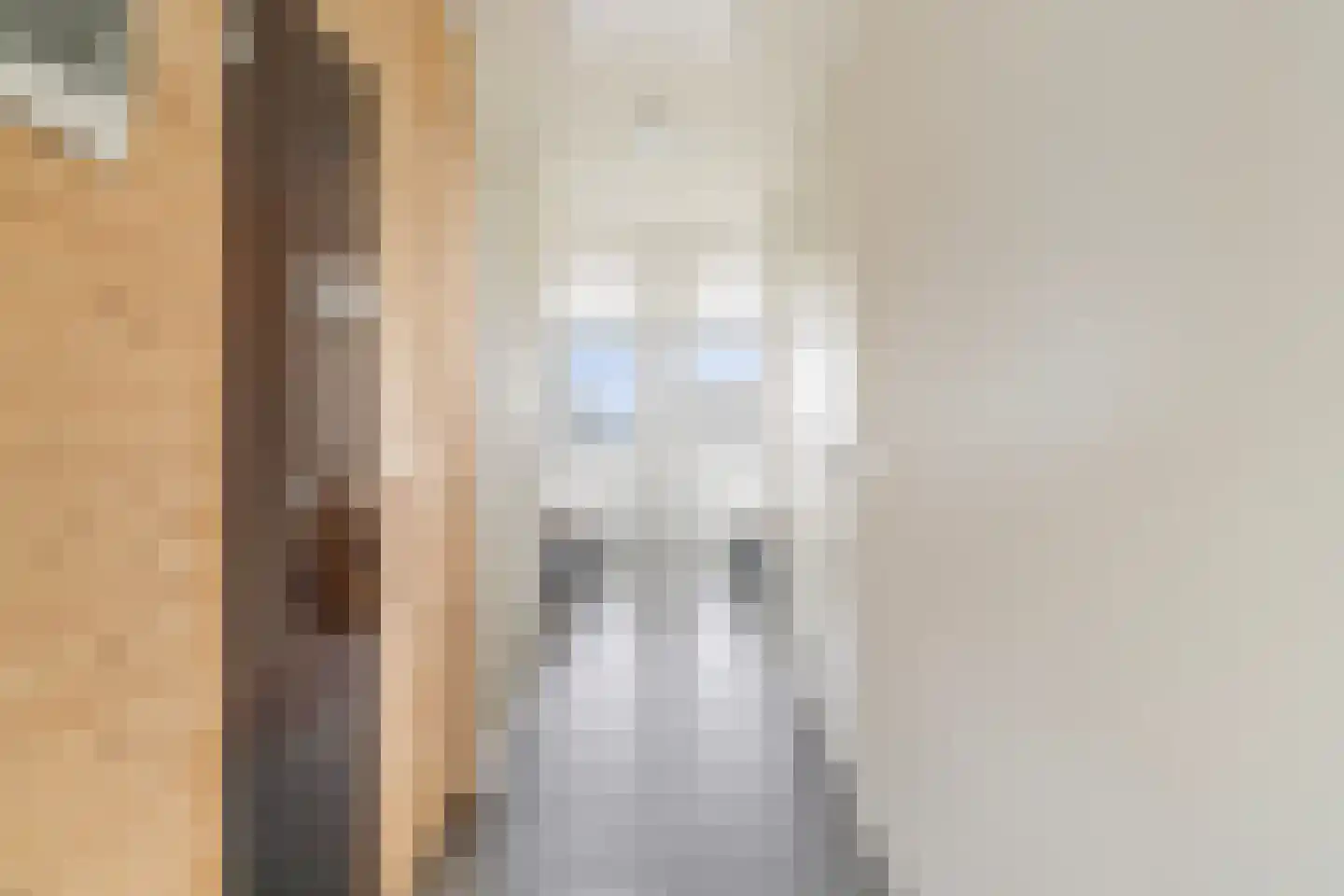 Pharshoeke 33 Heeg thumbnail 31
