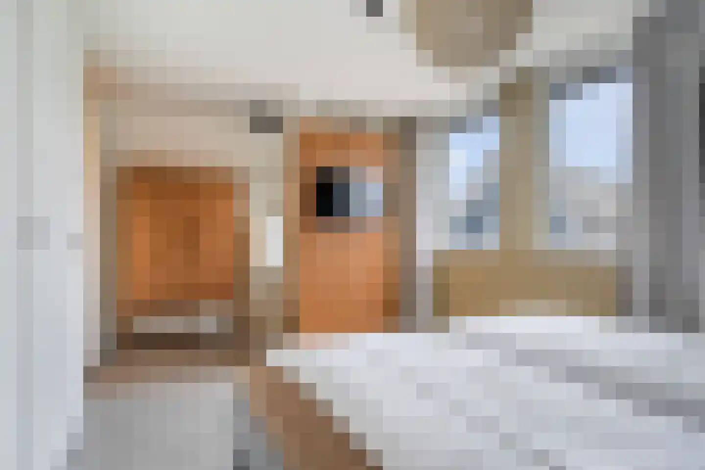 Pharshoeke 33 Heeg thumbnail 35