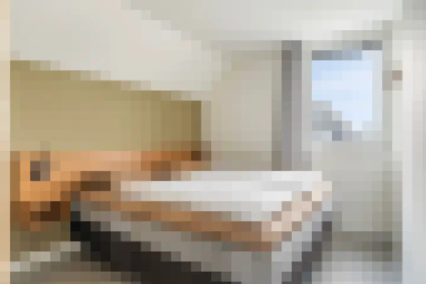 Pharshoeke 33 Heeg thumbnail 38