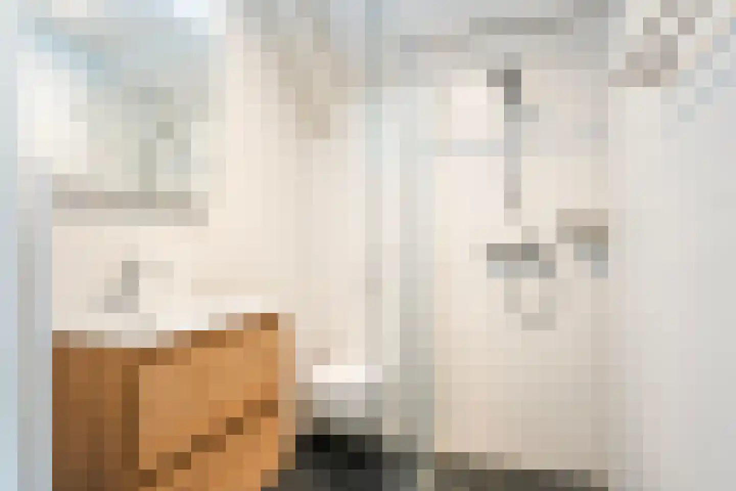 Pharshoeke 33 Heeg thumbnail 41