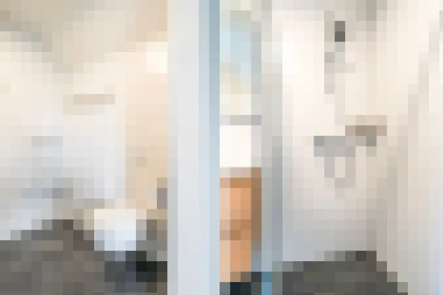 Pharshoeke 33 Heeg thumbnail 43