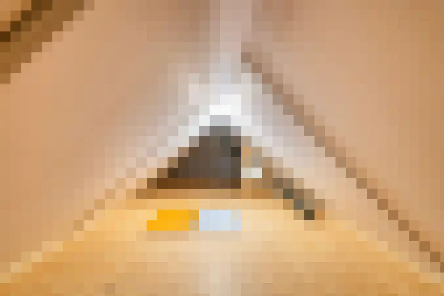 Pharshoeke 33 Heeg thumbnail 44