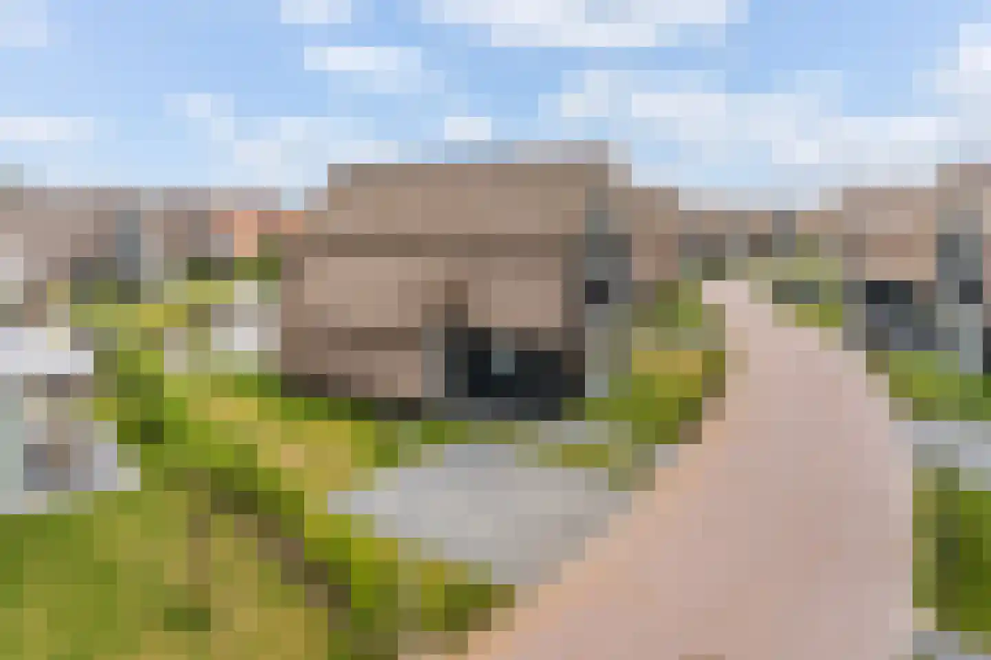 Pharshoeke 33 Heeg thumbnail 57