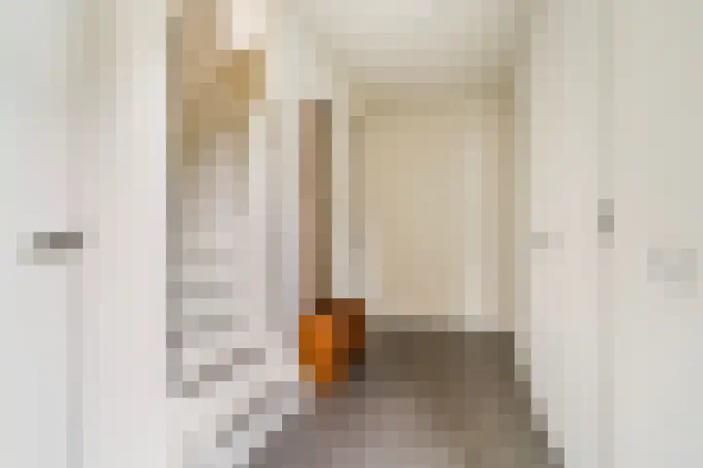 Pharshoeke 33 Heeg thumbnail 6