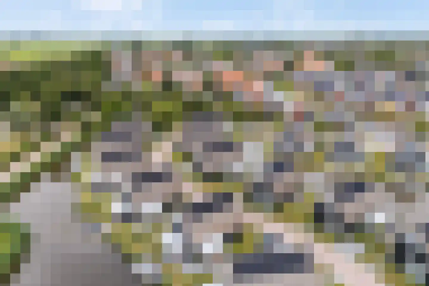 Pharshoeke 33 Heeg thumbnail 62