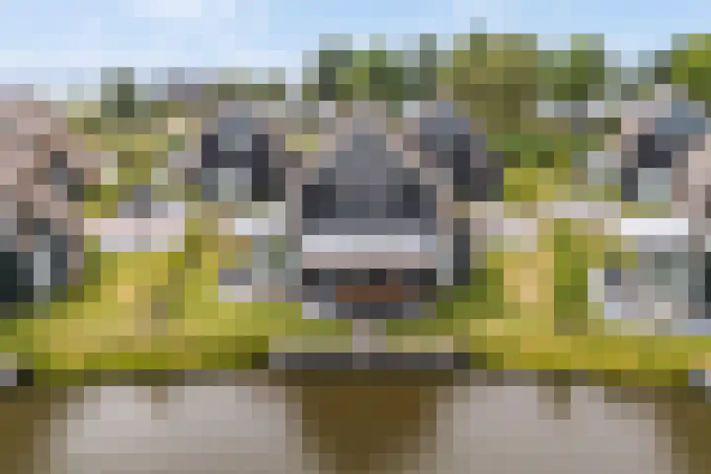 Pharshoeke 33 Heeg thumbnail 67
