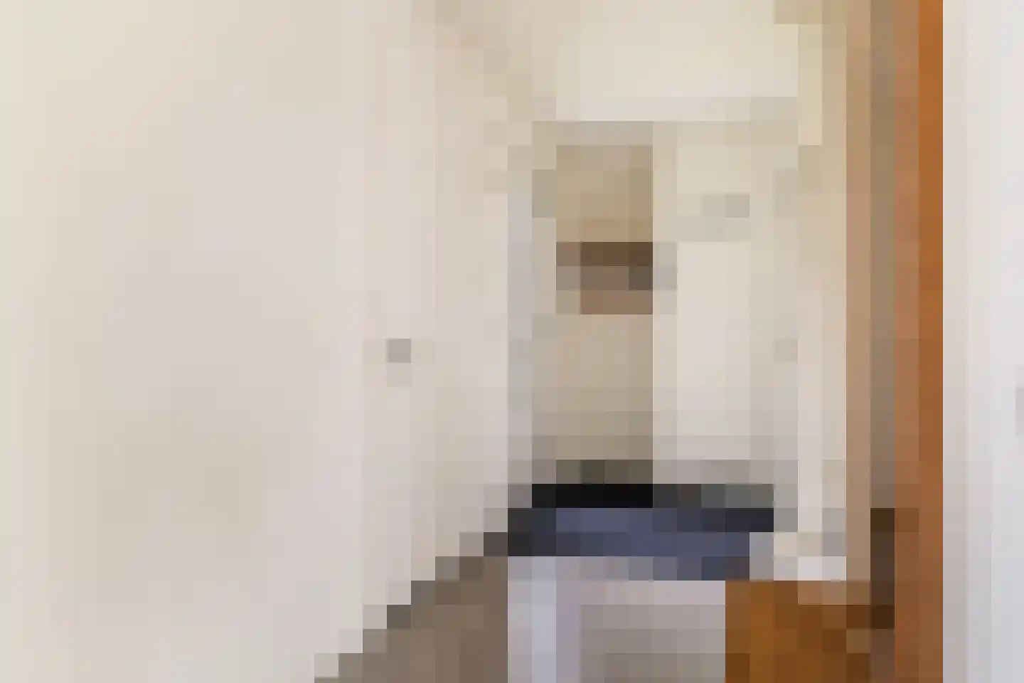 Pharshoeke 33 Heeg thumbnail 7