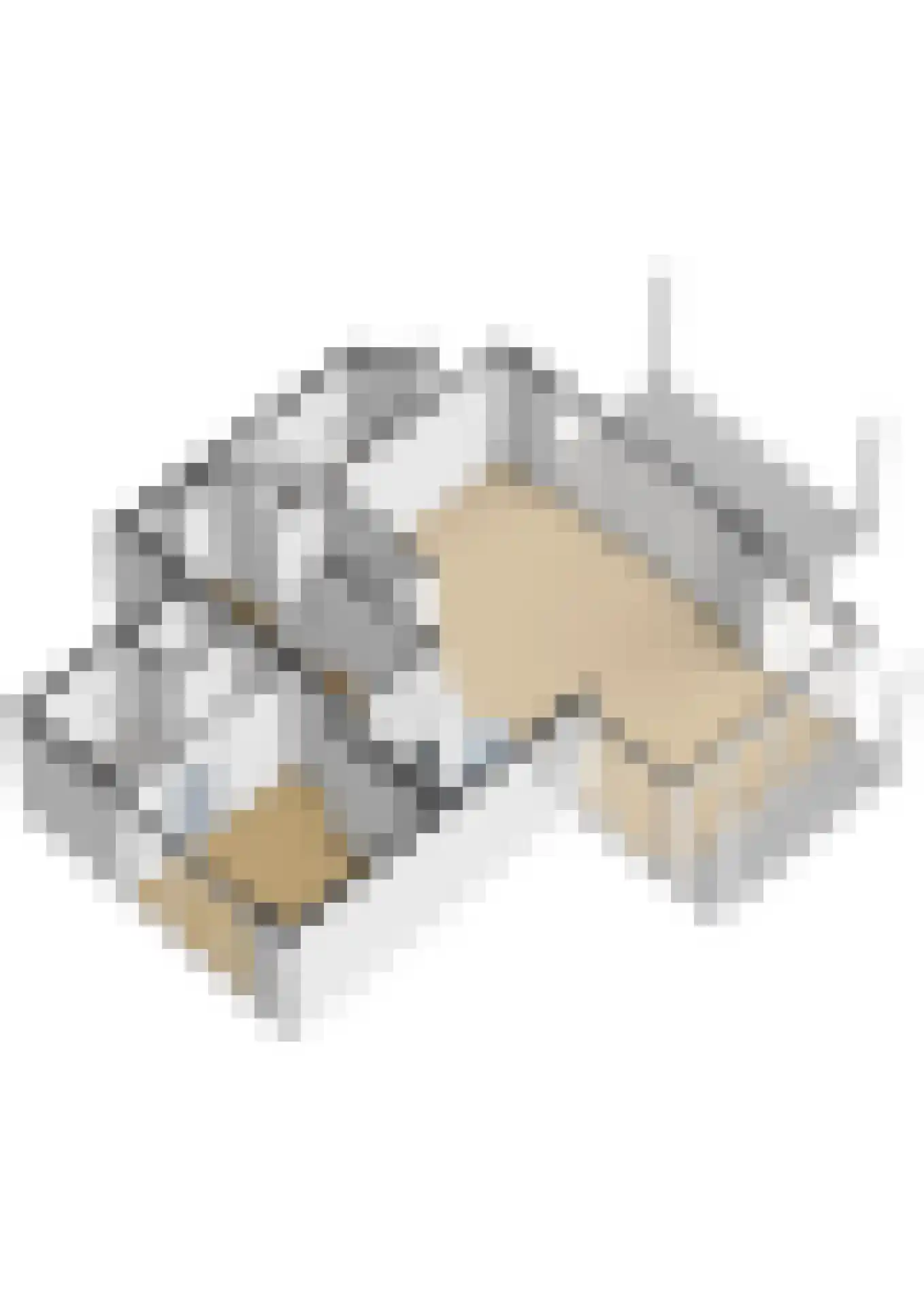 Pharshoeke 33 Heeg thumbnail 77