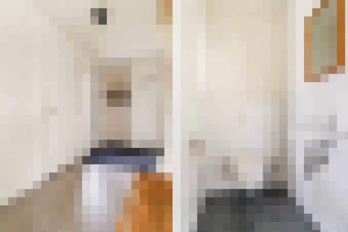 Pharshoeke 33 Heeg thumbnail 8