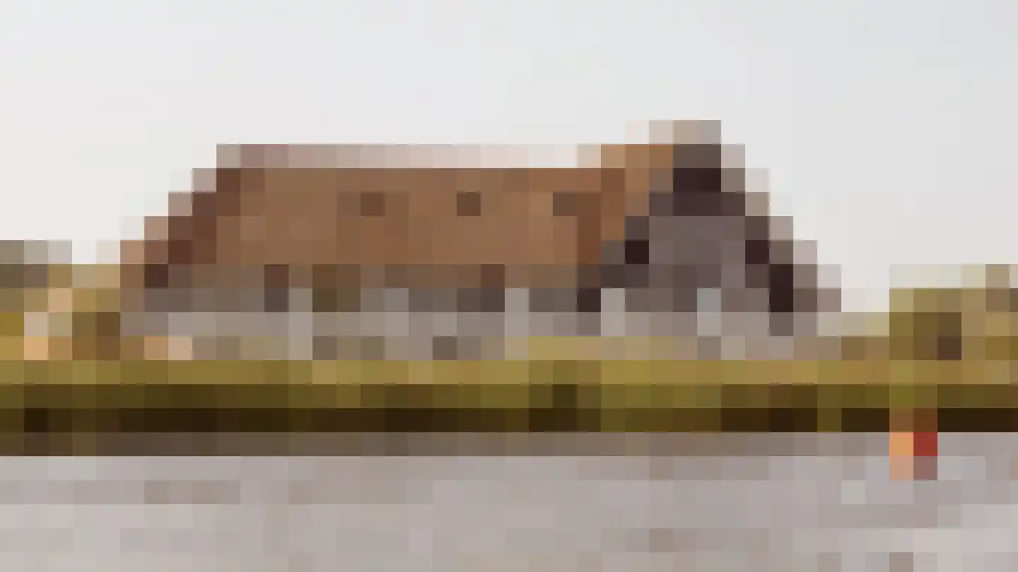 Pharshoeke 57 Heeg