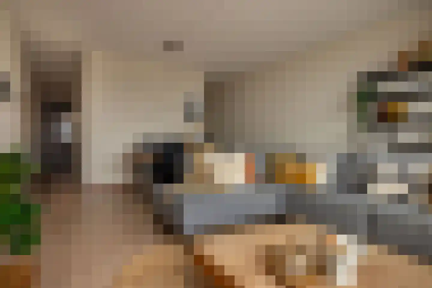Pharshoeke 57 Heeg thumbnail 13
