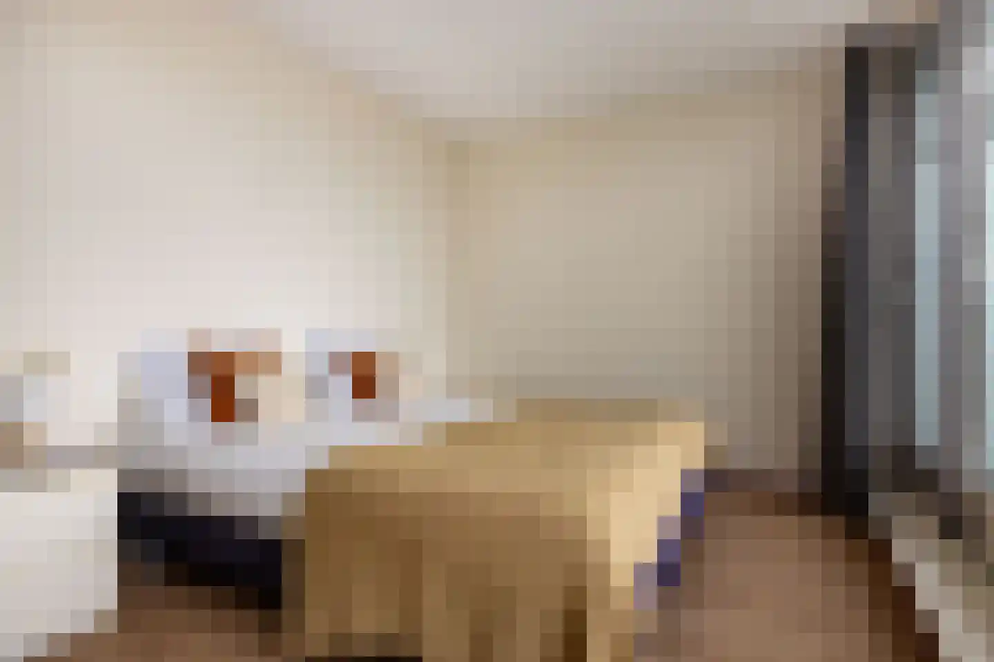 Pharshoeke 57 Heeg thumbnail 19