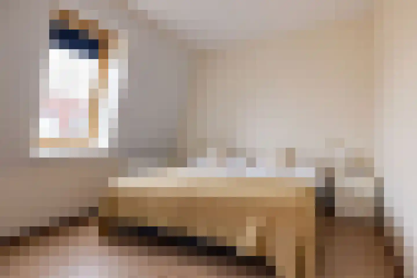 Pharshoeke 57 Heeg thumbnail 26