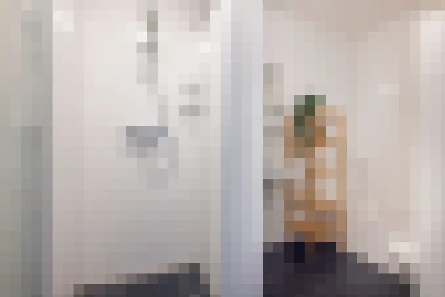 Pharshoeke 57 Heeg thumbnail 28
