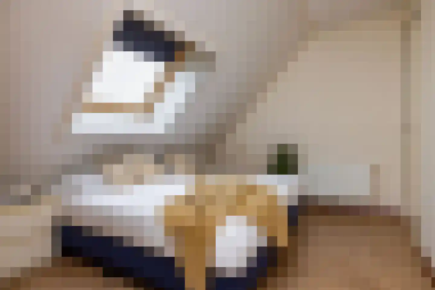 Pharshoeke 57 Heeg thumbnail 30